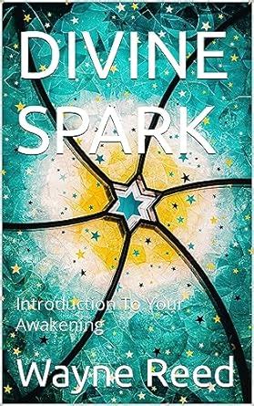 DIVINE SPARK : Introduction To Your Awakening eBook : Reed , Wayne ...