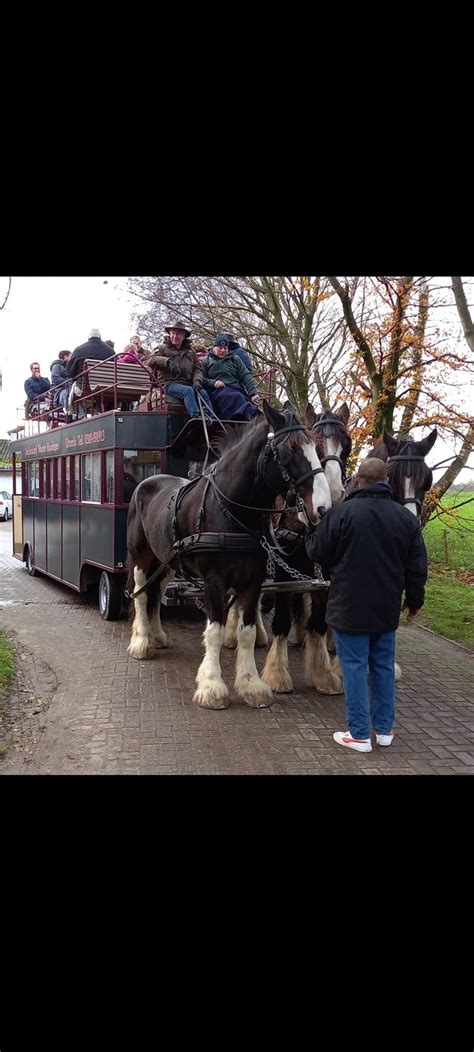 Shire Show op manege de Nieuwe Heuvel, Manege De Nieuwe Heuvel, Ede, 13 ...