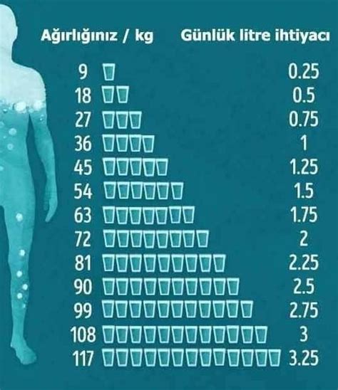 insan bir günde kaç kalori yakar