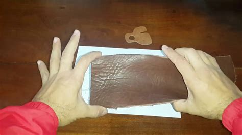 Cómo Cuidar Tu Dactilera para Aumentar su Durabilidad