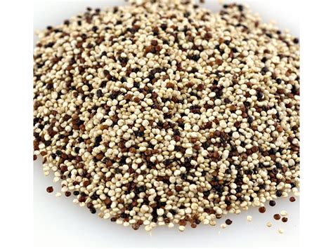 Quinoa-Tri-Color – Edible Earth Farm
