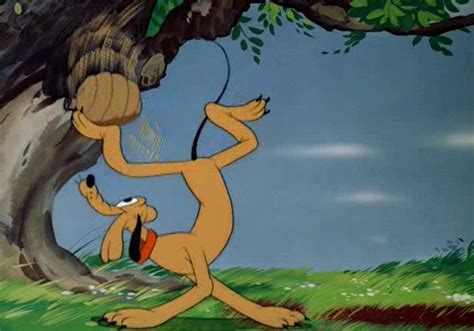 Image result for Springtime for Pluto