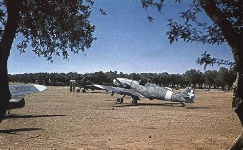 Seriously - some of the best images we have seen of 109's. So here are ...
