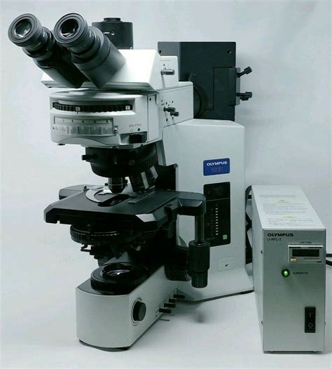 Fluorescence Microscope 的图像结果