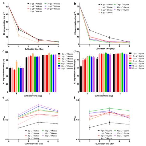 Construction of Magnetic Composite Bacterial Carrier and Application in ...