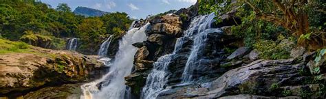 Thoovanam waterfalls, Munnar - Timings, Fees & Nearby Spots