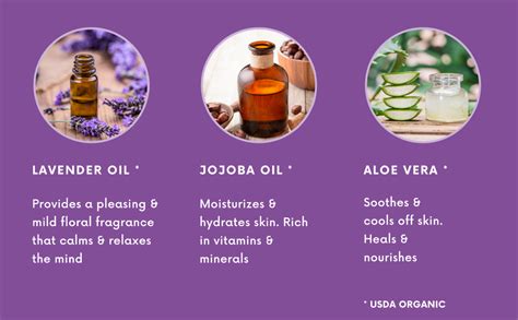 Buy Nature Trail Lavender Love Body Wash with Jojoba Oil, Aloe & Dead ...