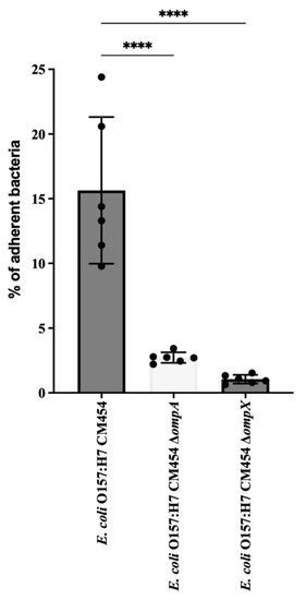 Specific Proteomic Identification of Collagen-Binding Proteins in ...