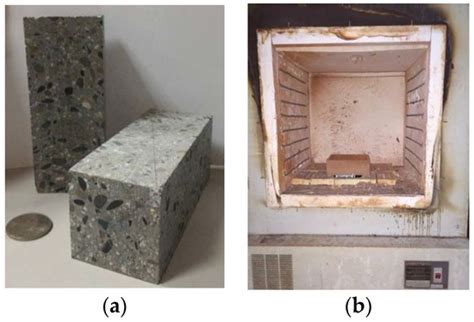 Using Ultrasonic Pulse and Artificial Intelligence to Investigate the ...