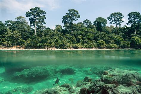 Neil’s Cove, Havelock – Hidden Gem & How to Reach