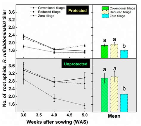 Tillage Intensity Influences Insect-Pest and Predator Dynamics of Wheat ...