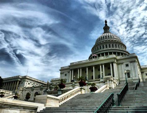 Political Chart Examples 的图像结果