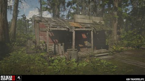 Image result for RDR2 Environment