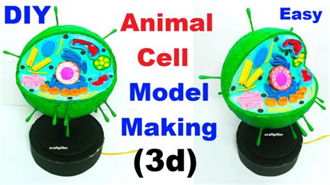 Biology Project Model 的图像结果