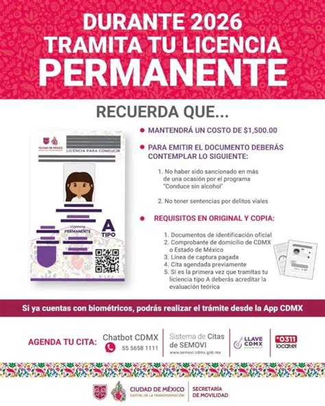 Licencia de Conducir Permanente 2026: quiénes, cómo y cuándo podrán ...