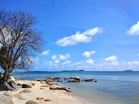 BINTAN AGRO BEACH RESORT (Bintan Island, Riau Islands) - Resort Reviews ...