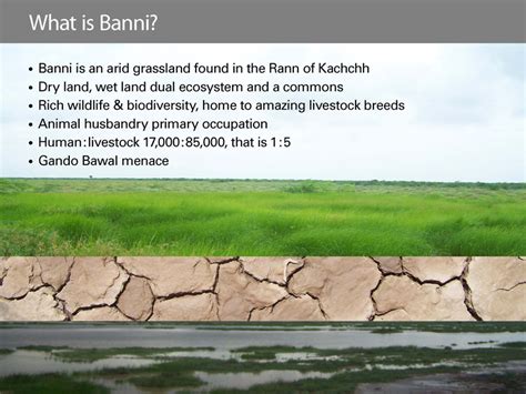 D'source Case Study - Slide Show | Non-Verbal Codes of Communication ...