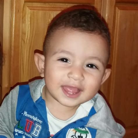 Rezultat imagine pentru YouTube API Download