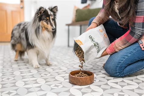 Buy Blackwood Dog Food Made in USA Slow Cooked Dry Dog Food [Sensitive ...