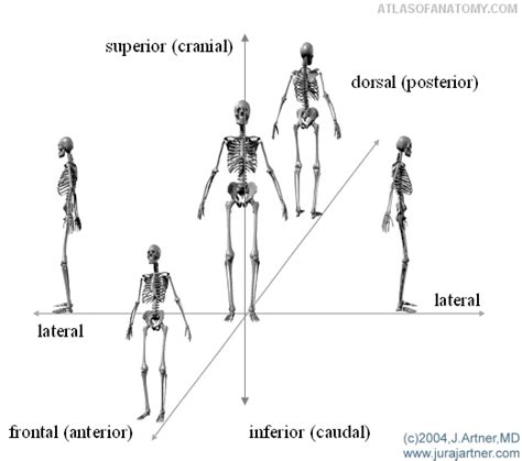 Image result for Position Motion Direction