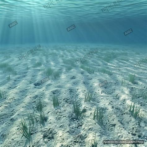 海底 的图像结果