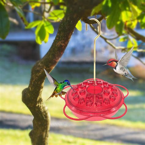 Beautiful Circular Hanging Hummingbird Feeder, Hummble Slim Hummingbird ...