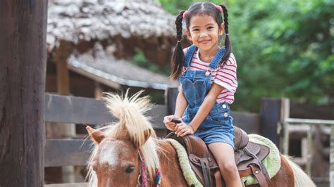 Oakland County Friends Of The Court - prntbl.concejomunicipaldechinu.gov.co