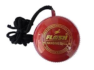 Flash Cricket Hanging Ball : Amazon.in: Home & Kitchen