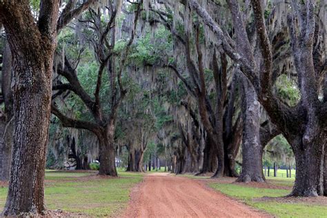 Thomasville, Georgia: A Charming Weekend Getaway | StyleBlueprint