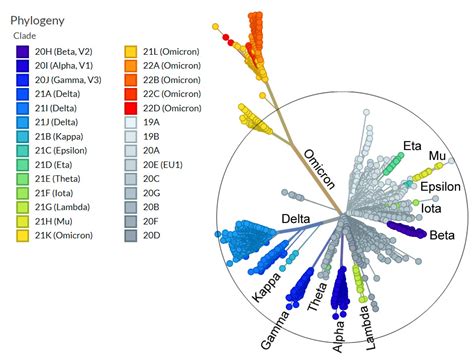 The Difference in Wave Dynamics between SARS-CoV-2 Pre-Omicron and Omicron Variant Waves