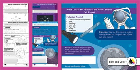 Phases of the Moon Science Project | Resource | Twinkl USA