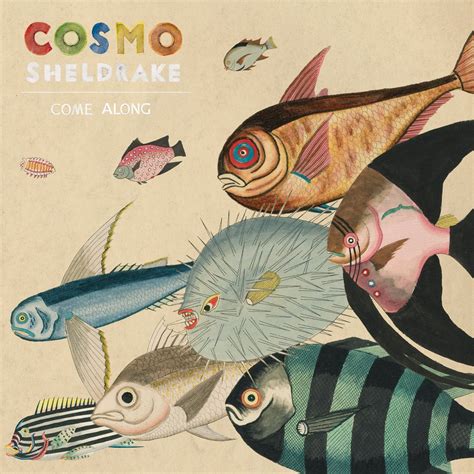Image result for Cosmo Sheldrake Instruments