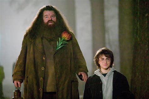 Robbie Coltrane, Hagrid Actor, Has Died Aged 72 - The Yorkshireman