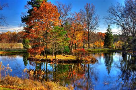 Image result for How to Make Tree Using HTML and CSS