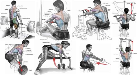 Upper Back Training