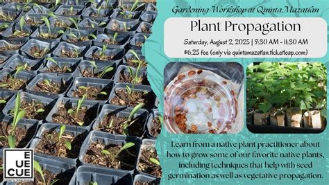 Plant Propagation Class (August 2025), 600 Sunset Dr, McAllen, TX ...