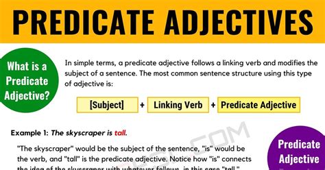 Predicate Adjective Examples 的图像结果