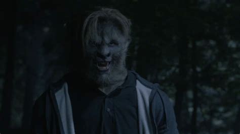 Image result for Bush Wolves