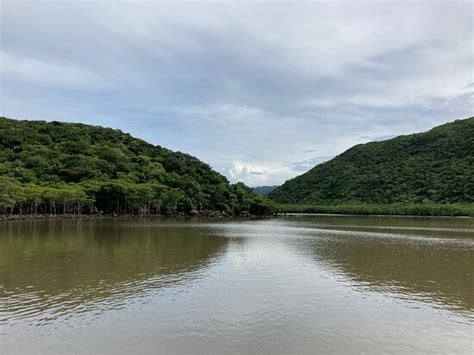 Urauchigawa Kankou - One day tour (Iriomote-jima) - 2022 What to Know ...