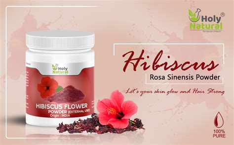 Buy Holy Natural Hibiscus Powder (100gm), Hibiscus Rosa Sinensis Powder ...