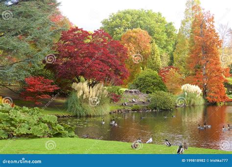 Sheffield park, UK stock photo. Image of recreation - 199818982