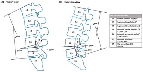 Spine Flexion Degrees