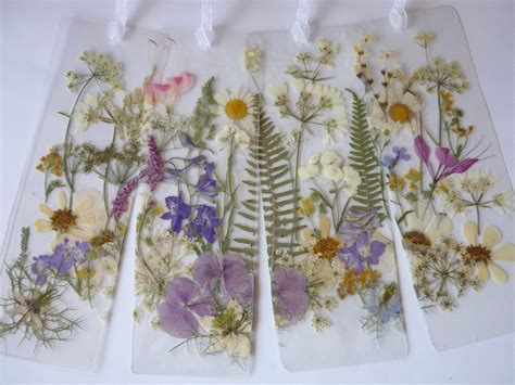Pressed Flower Art Projects at Susie Branch blog