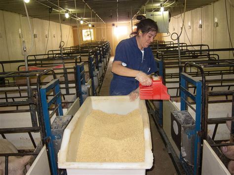 Seaboard Foods Office Photos | Glassdoor