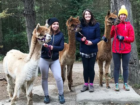 Tong Tourism: All You Need to Know Before You Go (2024)