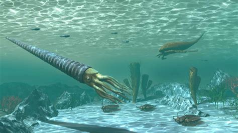 29 Facts About Ordovician - Facts.net