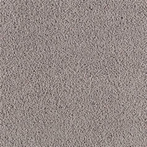 STAINMASTER (Sample) Essentials Renewed Touch II Celeb City Plush ...