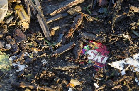 Food wrappers overtake cigarette butts as beach litter: Report