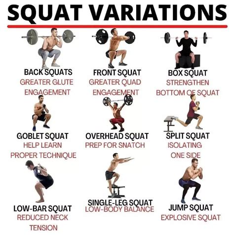 Squat Variations Exercises | Squat workout, Squat variations, Lower ...