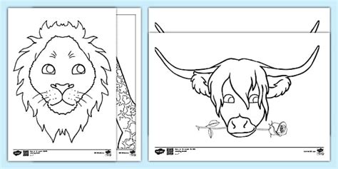 Pictures for Animal Colouring | Teaching Resources
